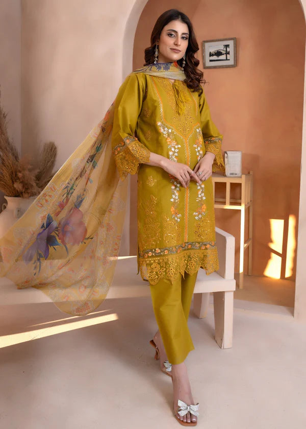 Momina